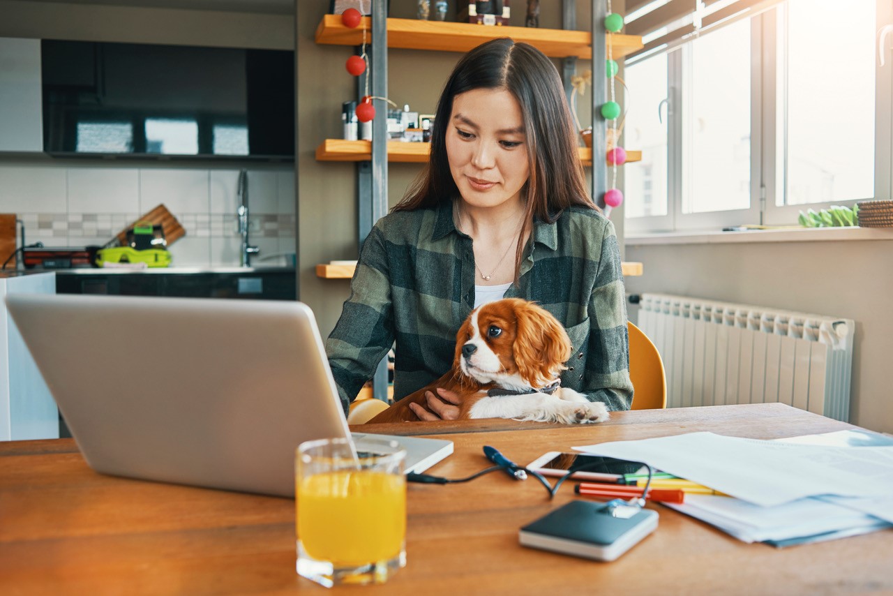 Eine Frau sitzt mit ihrem Hund auf ihrem Schoss an einem Esstisch und schaut auf einen Laptop.