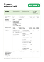 Cover des Infoblattes 