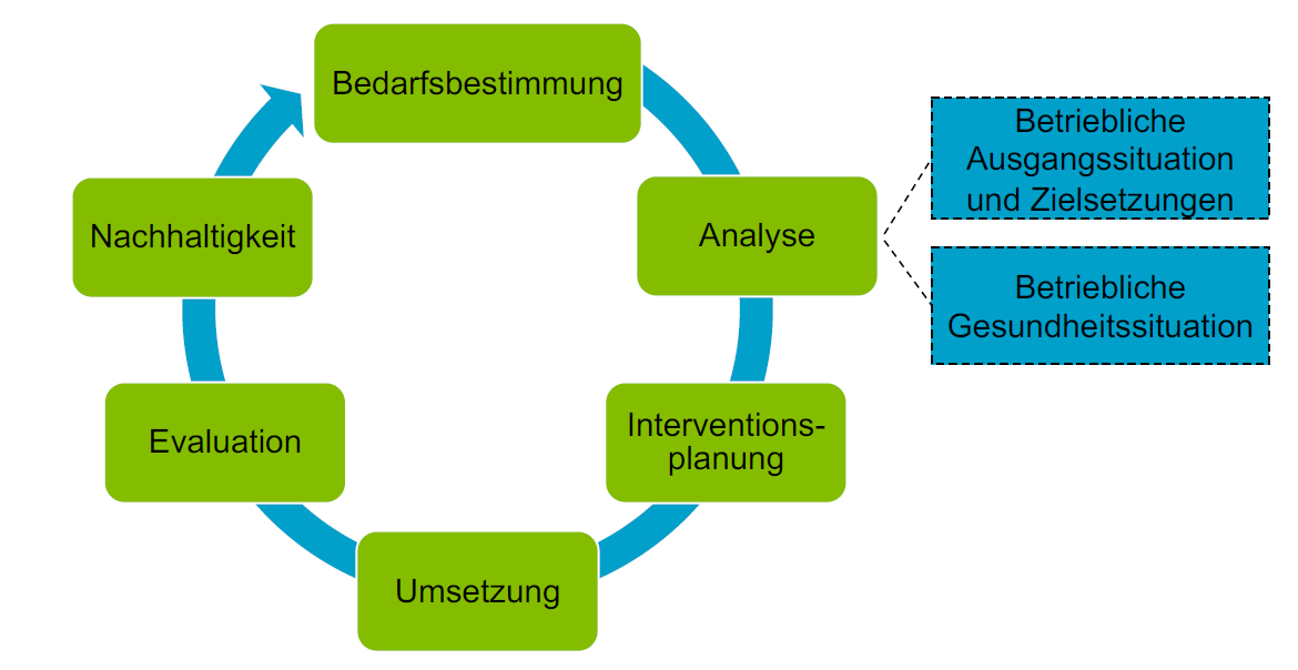 Die Grafik zeigt das 6-Phasen-Modell, die Basis des Barmer Betriebliches Gesundheitsmanagement-Konzeptes