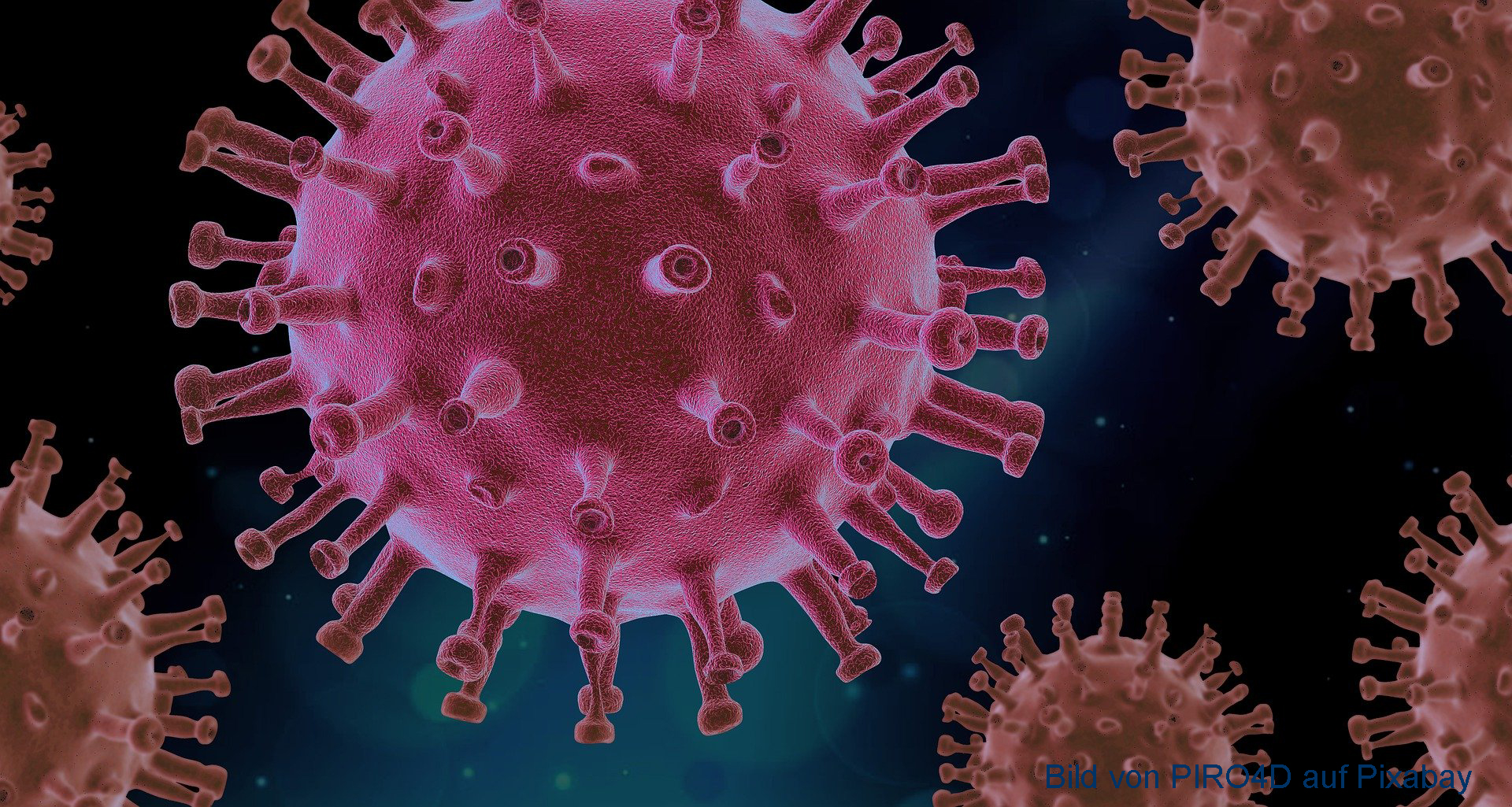 Das Bild zeigt das Coronavirus. Es sieht aus wie ein Ball, auf dem viele kleine Fühler sitzen.