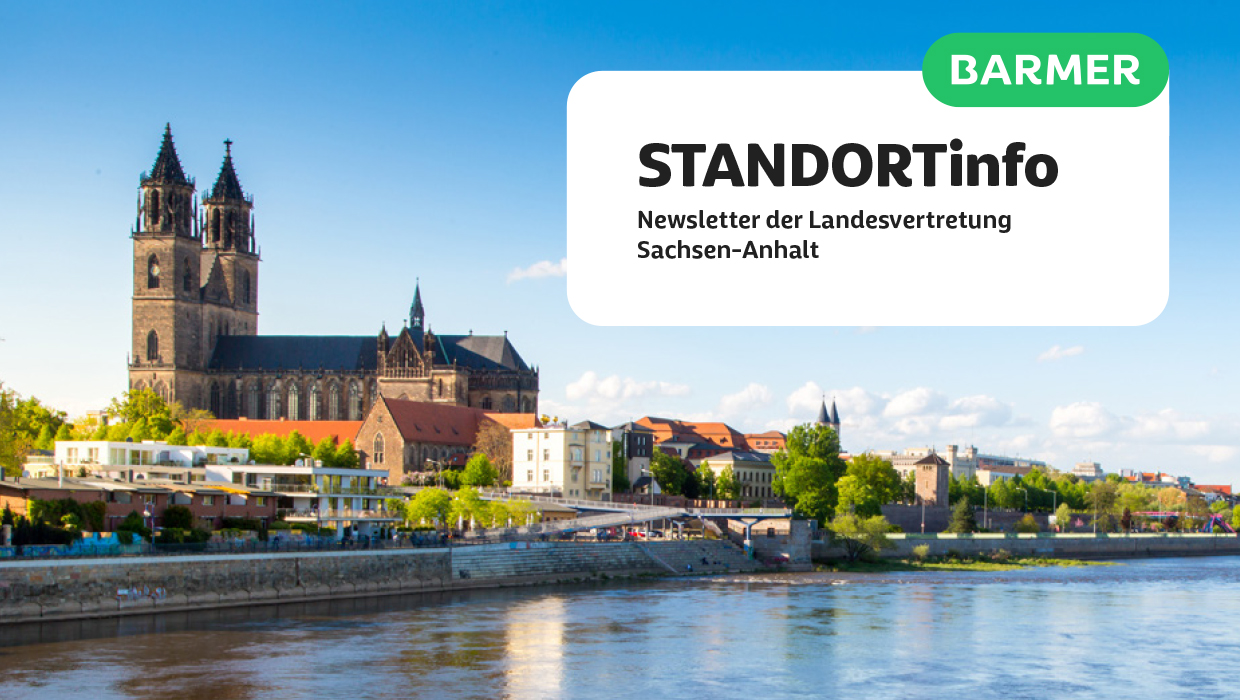 Der Magdeburger Dom ist auf dem Bild zu sehen.