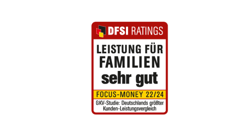 DFSI Siegel Leistungen für Familien: sehr gut