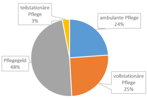 Die Grafik zeigt die Anzahl der Pflegebedürftige in Thüringen (alle Altersgruppen) nach Art der Betreuung (2015)