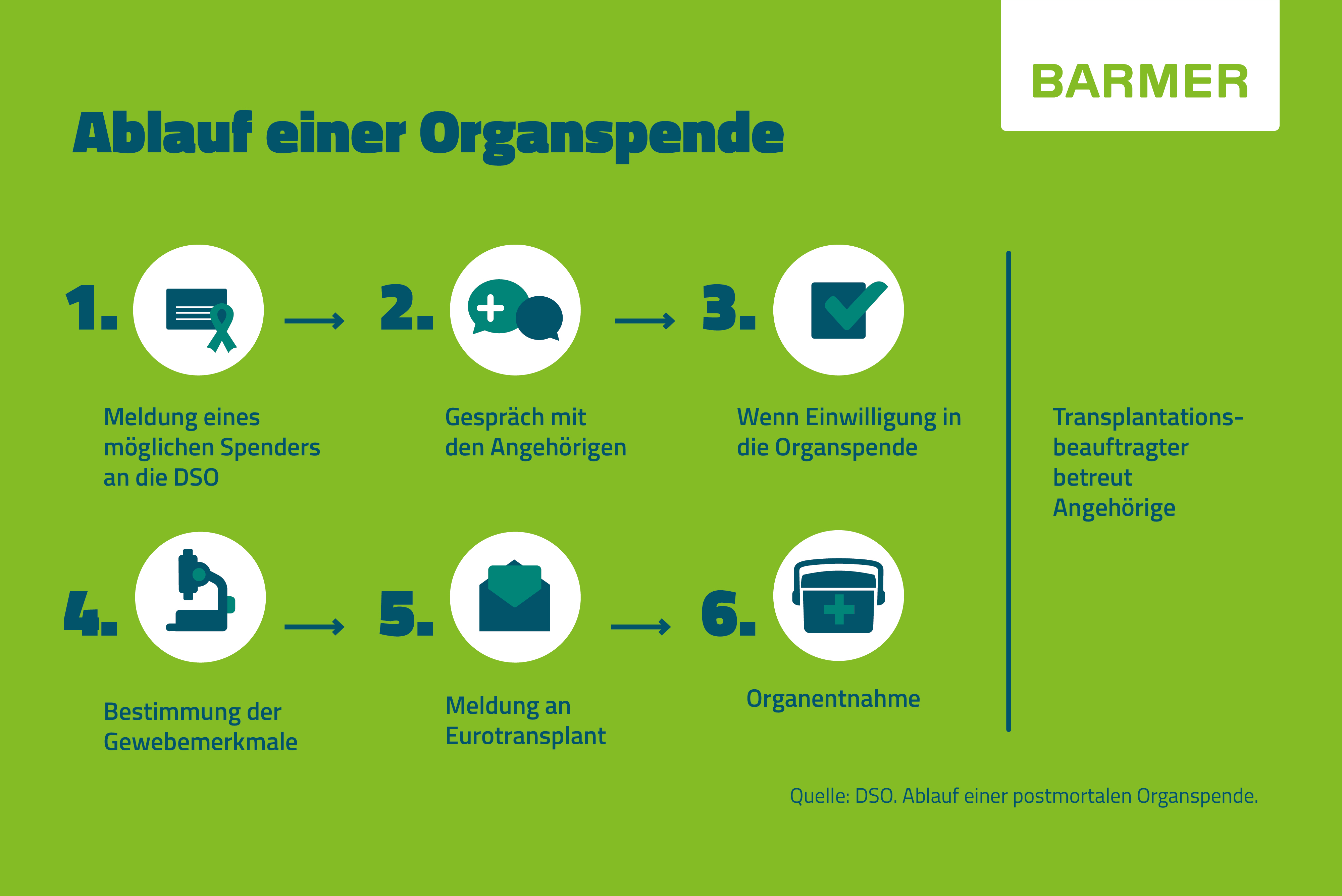 Infografik: Organspende Ablauf