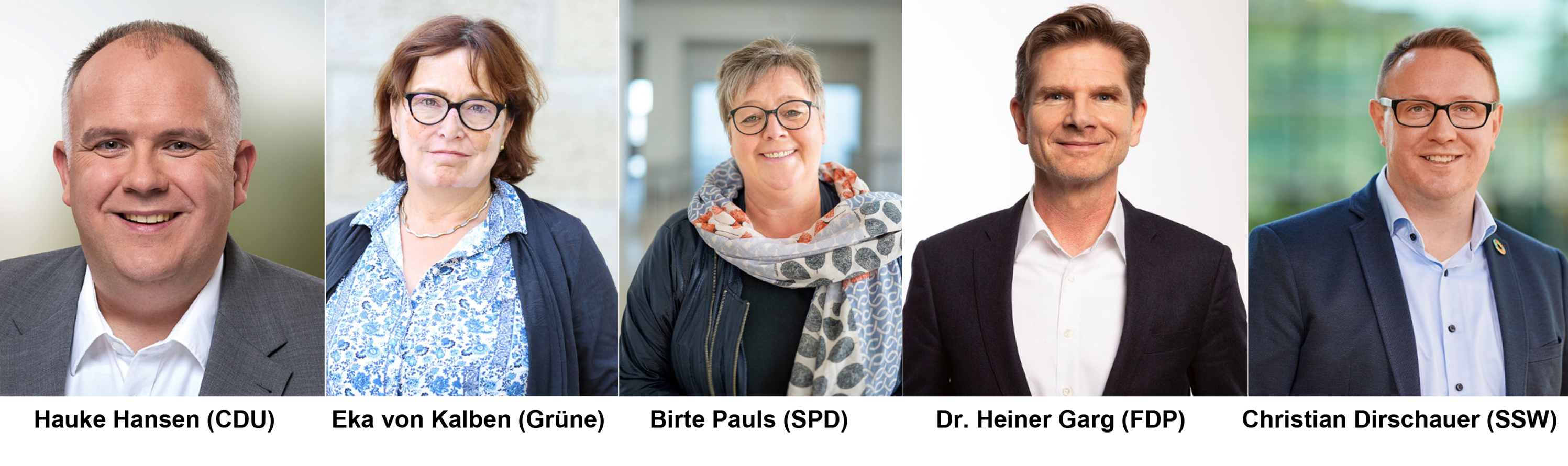 eine Collage der Portraitbilder der fünf gesundheitspolitischen Sprecher von CDU, B'90/Die Grünen, SPD, FDP und SSW