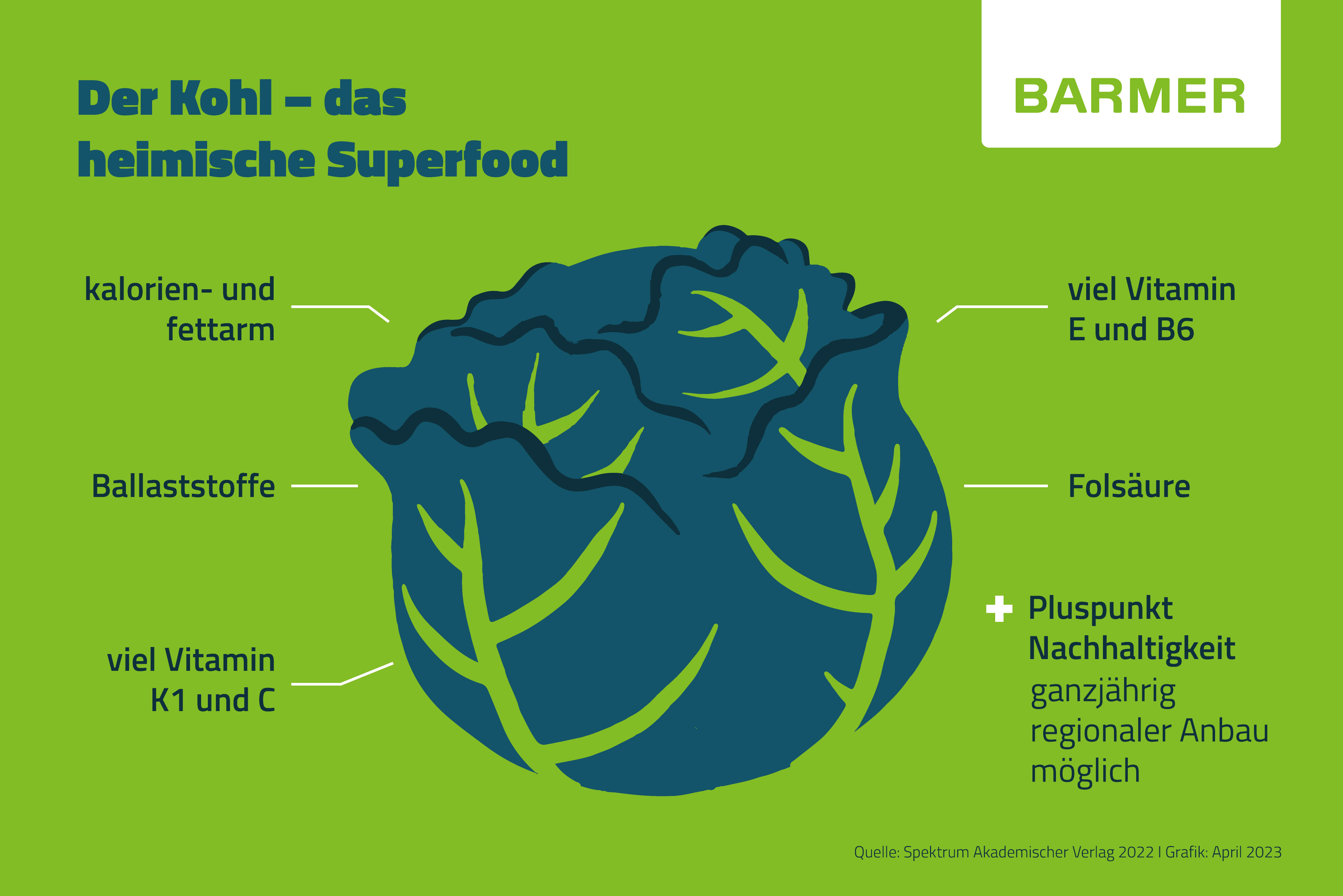 Infografik Kohl – das heimische Superfood