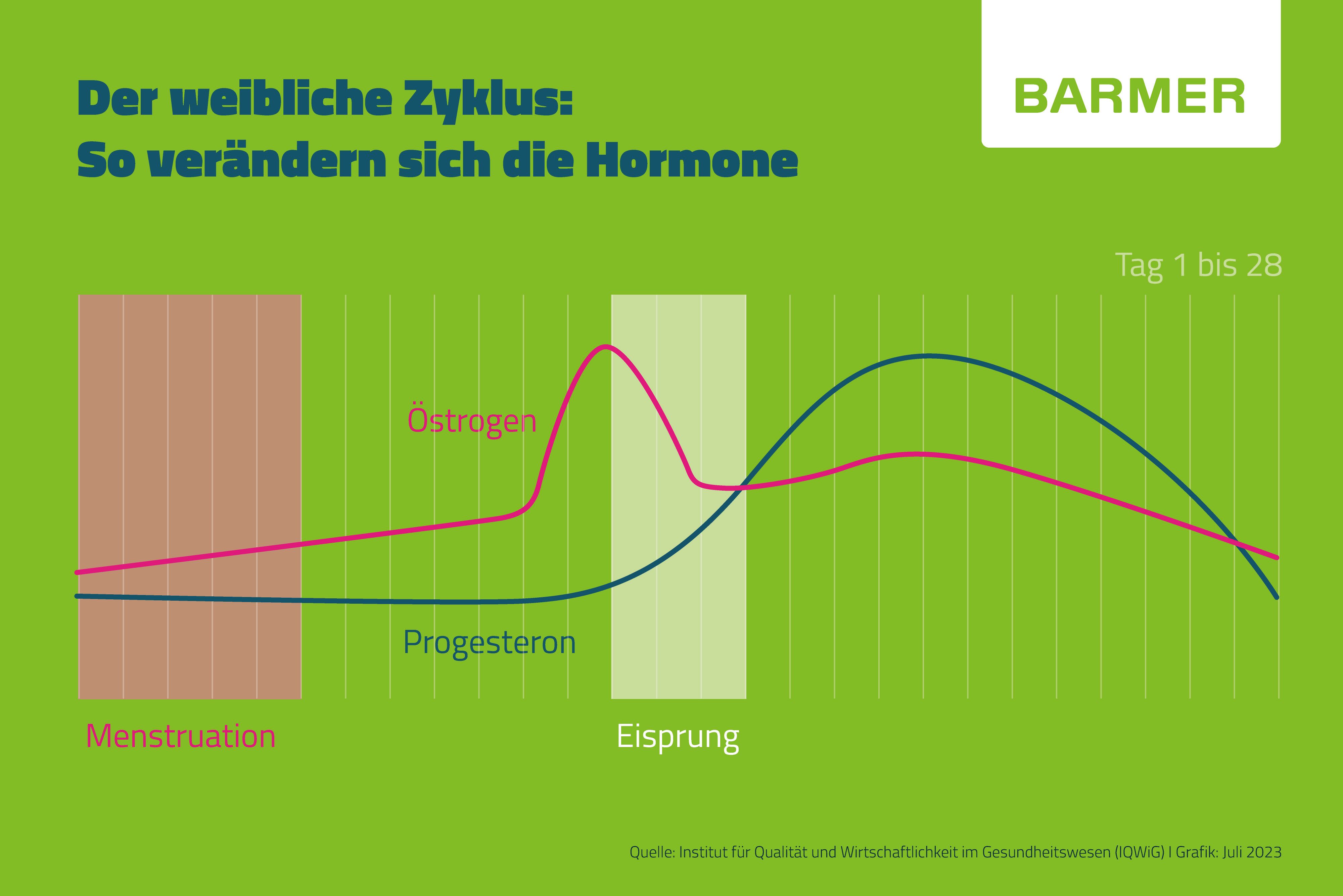Cycle Syncing: Der Hormonspiegel im Laufe des Zyklus kann das Wohlbefinden beeinflussen