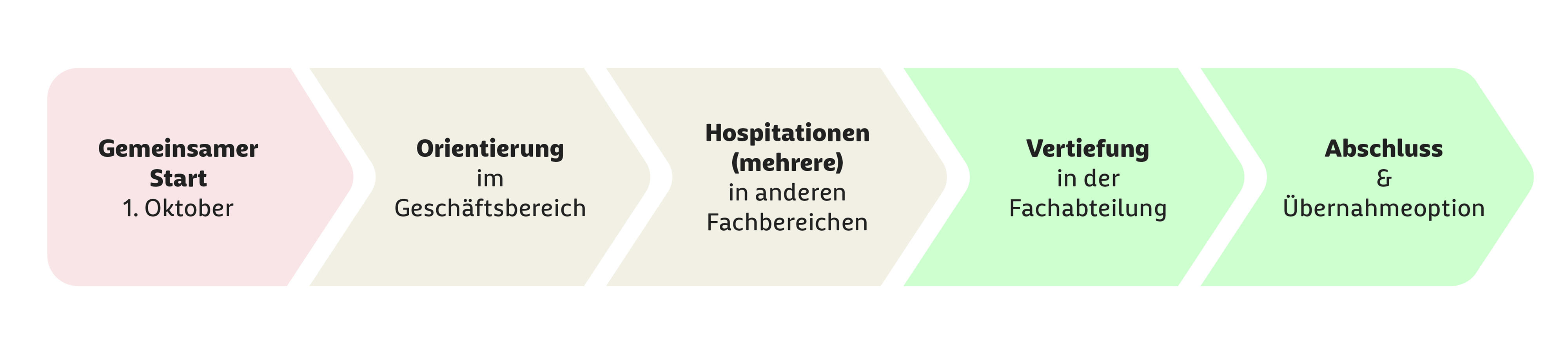Grafische Darstellung zum Ablauf des Traineeprogramms bei der Barmer