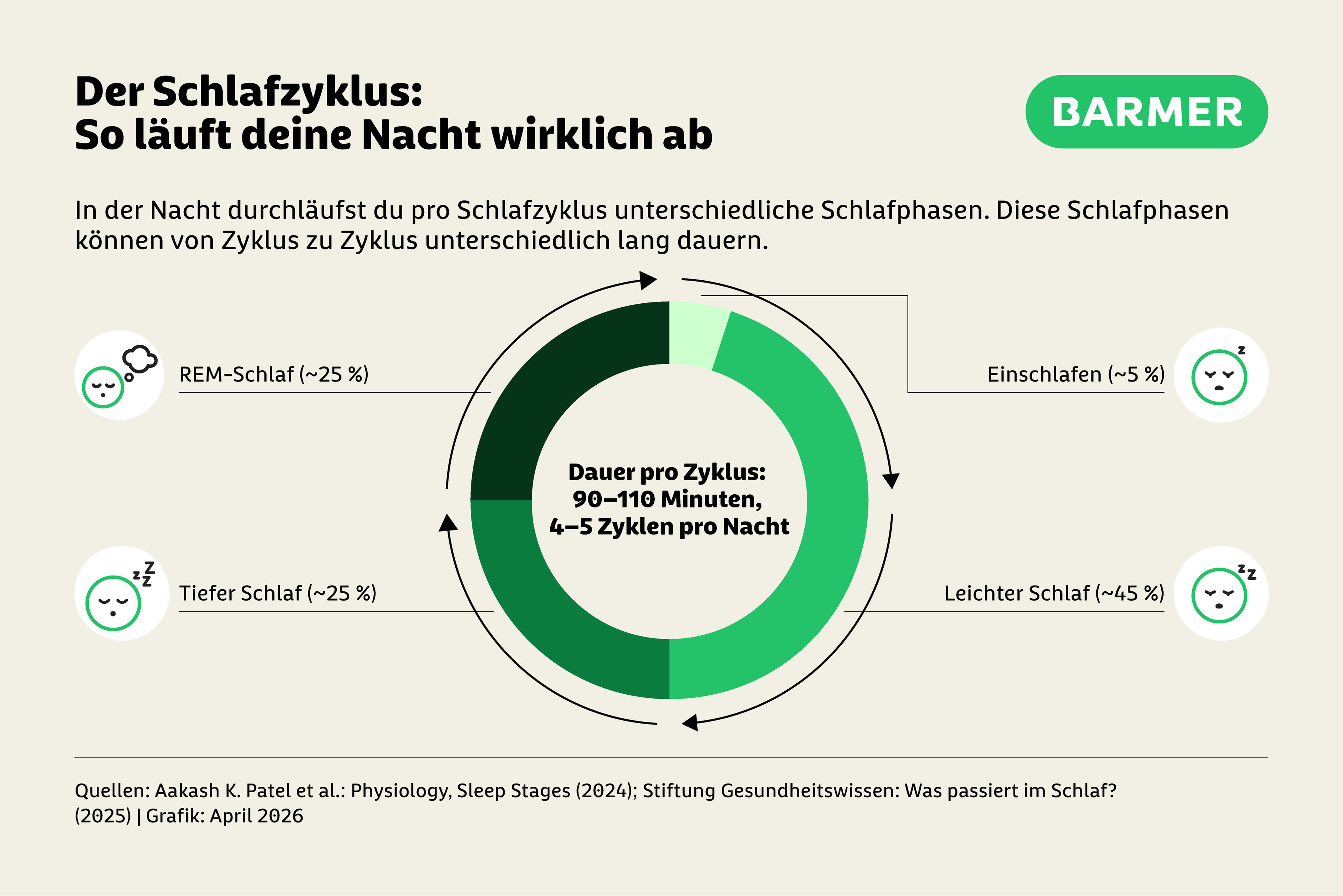 Pro Nacht durchläufst du mehrmals dieselben Schlafphasen. Jede davon hat ihren eigenen Job.