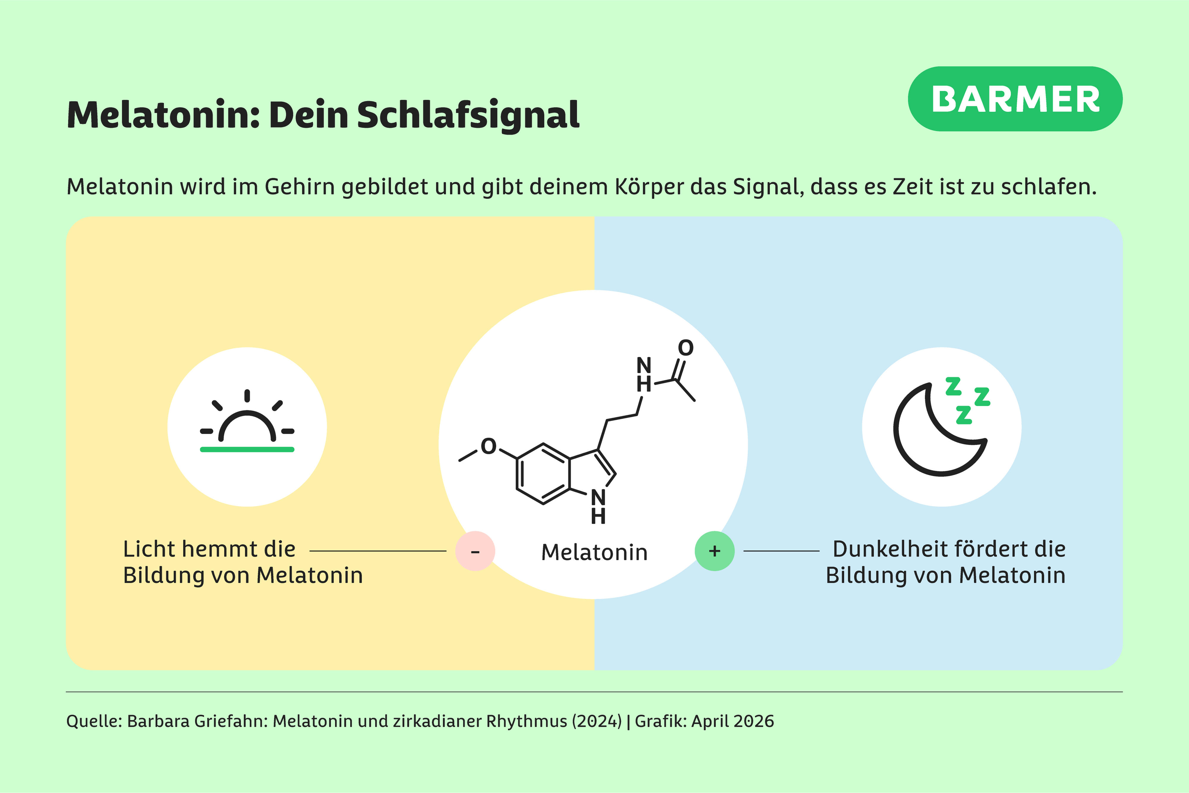 Licht und Dunkelheit sind wichtige Signale für deinen Schlafrhythmus.