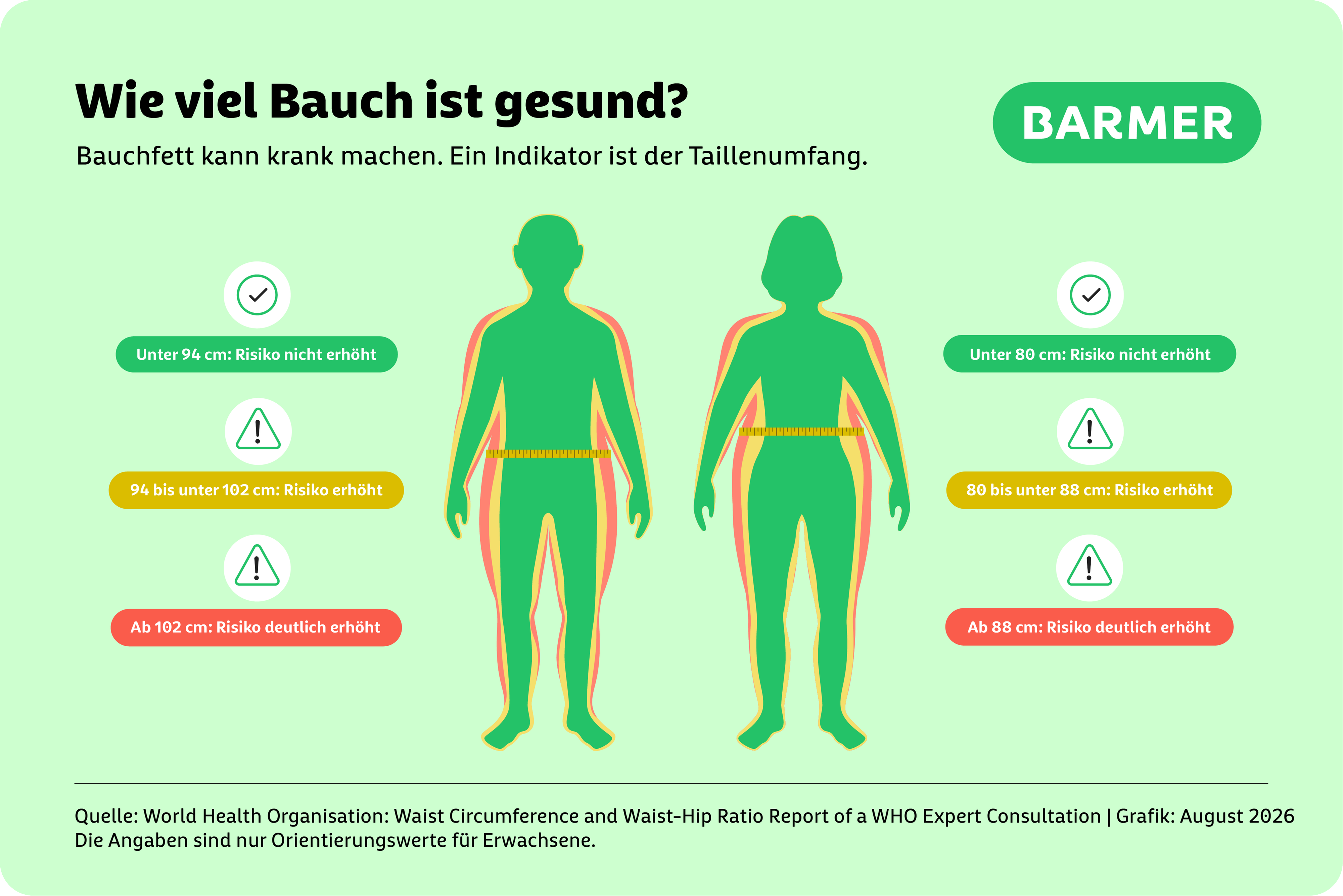 Infografik: Wie viel Bauchfett ist gesund?