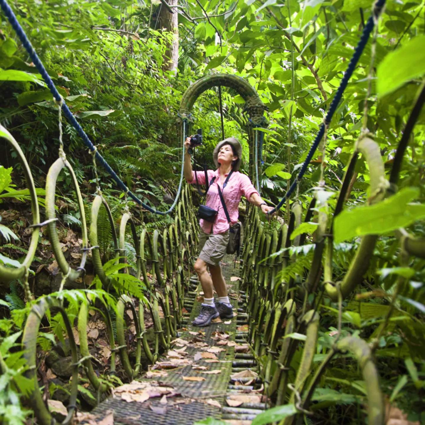 Eine Frau steht auf einer Hängebrücke im Urwald.