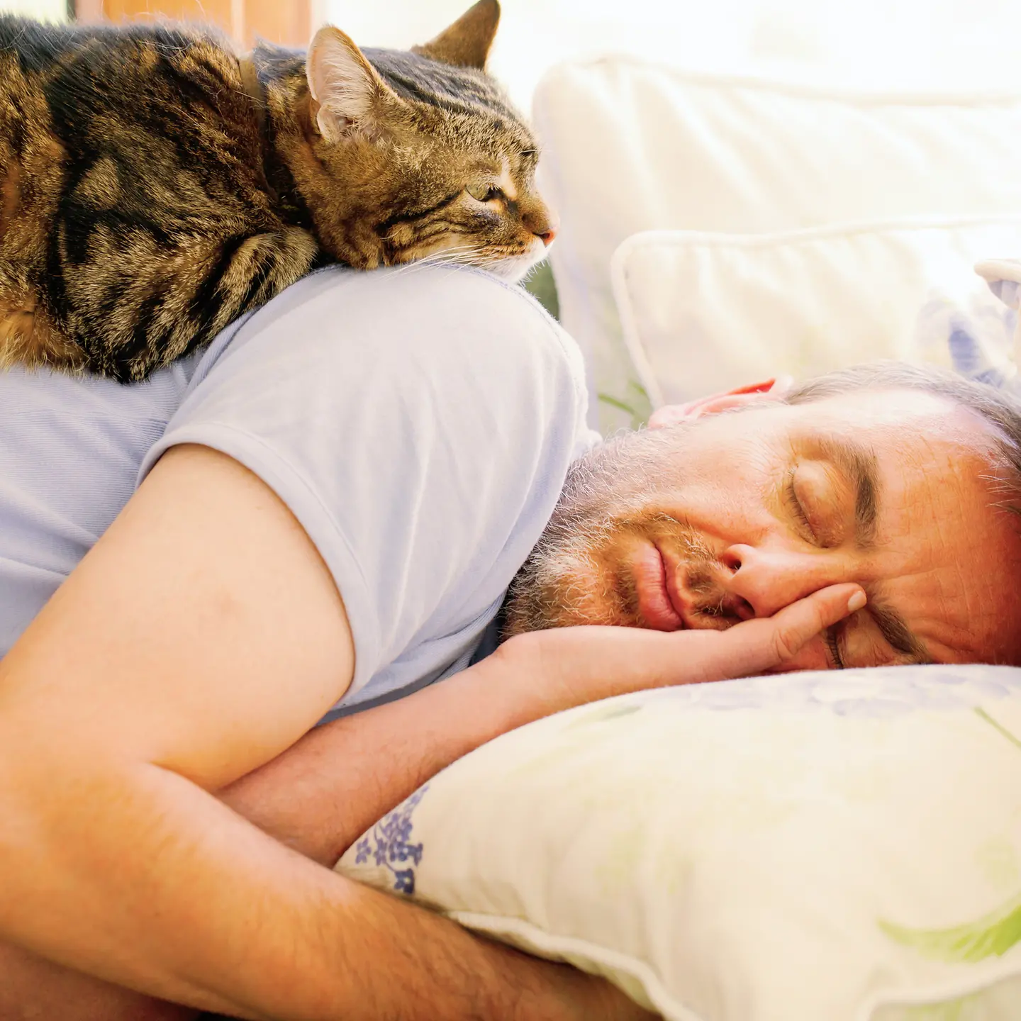 Ein Mann schläft auf der Couch und eine Katze liegt auf seiner Schulter