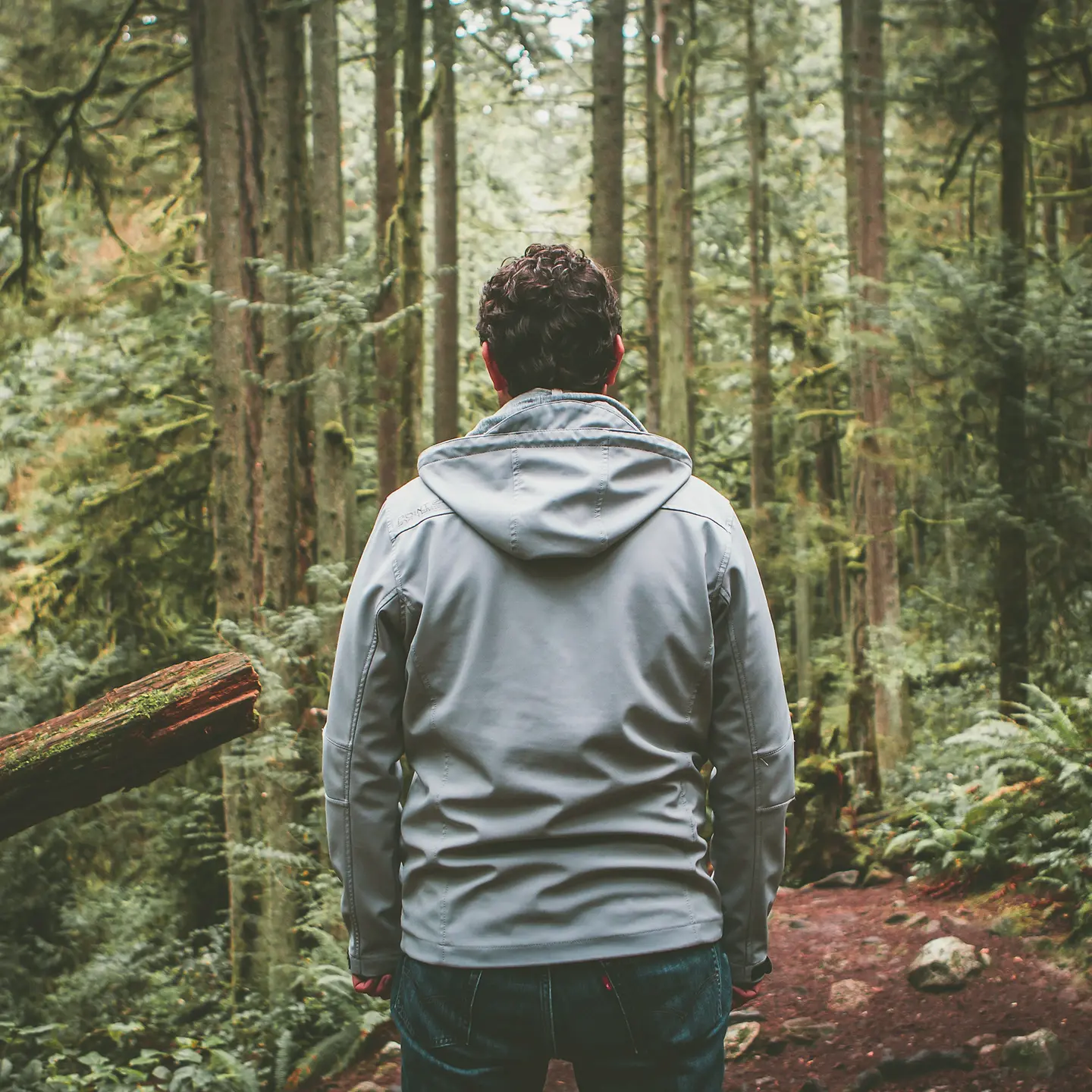 Ein Mann steht still auf einem Waldweg und schaut in den Wald.