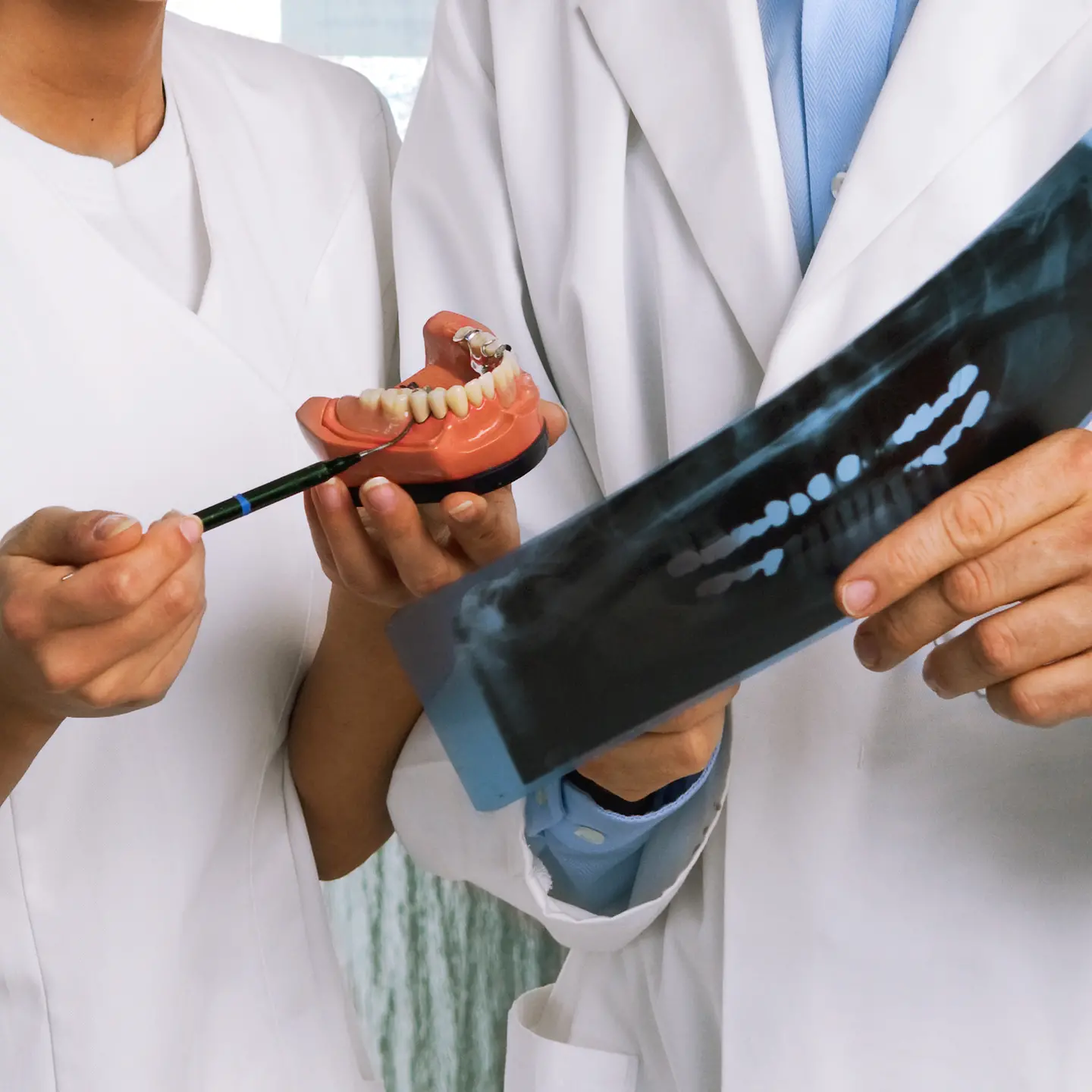 Eine Zahnarzthelferin und ein Zahnarzt erklären den Gebiss-Aufbau