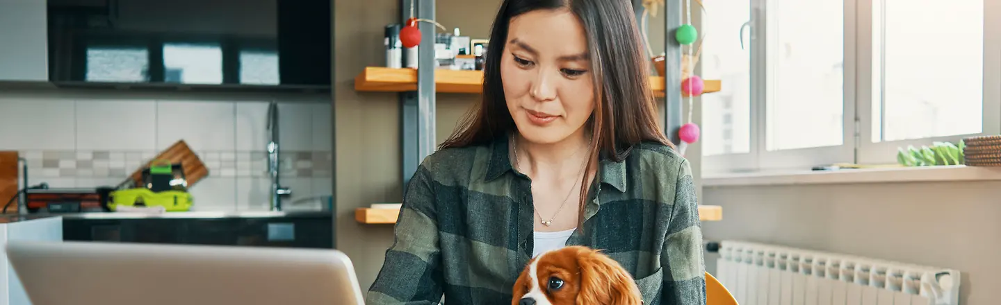 Junge Frau mit Hund auf dem Schoß sitzt am Laptop