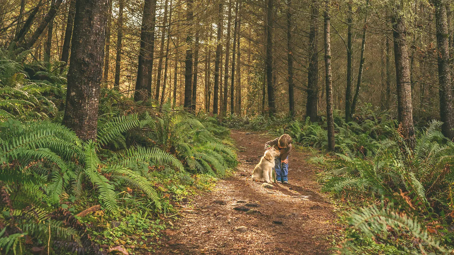 Ein Junge mit Hund im Wald