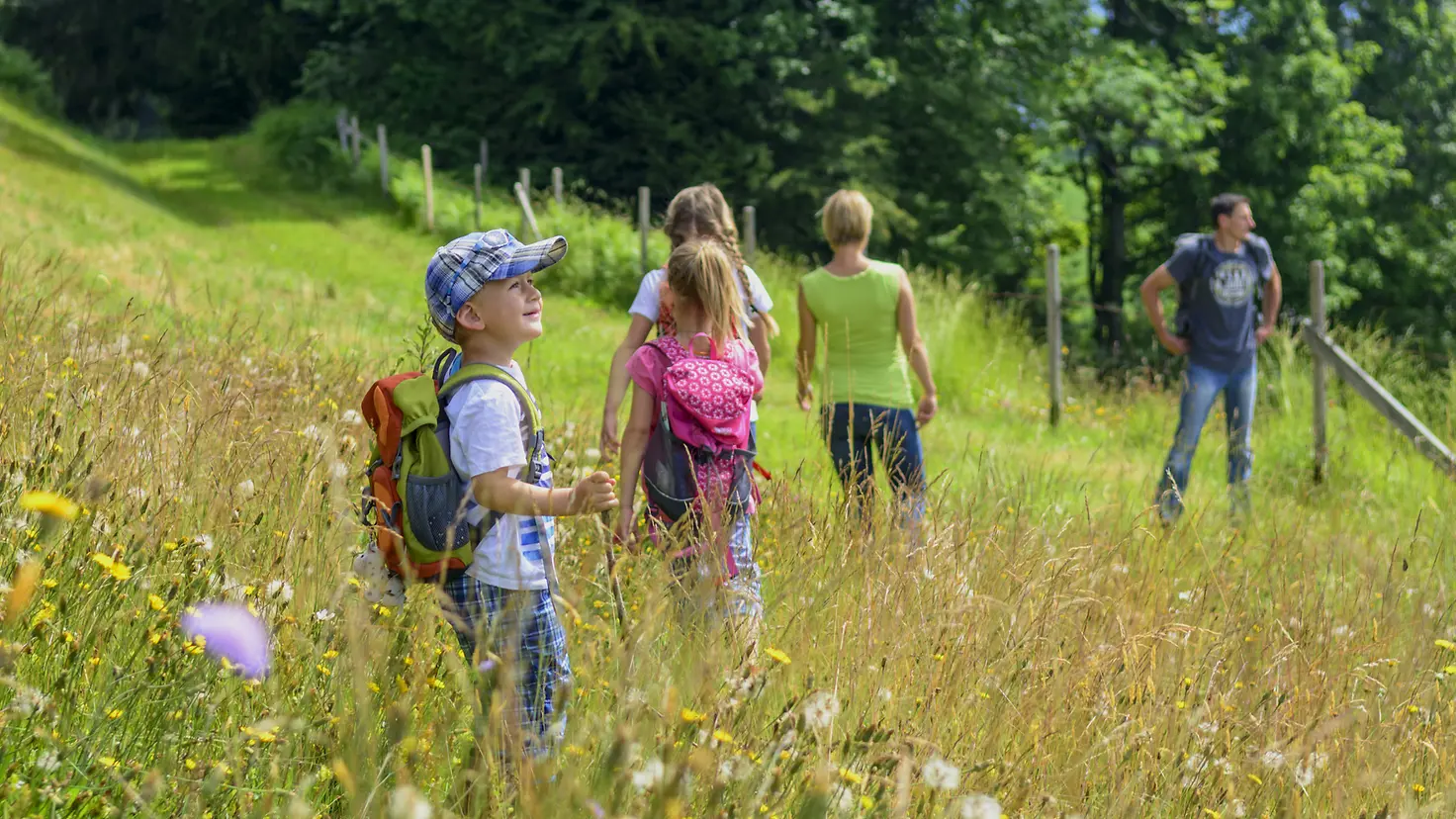 Eine Familie wandert über eine Wiese