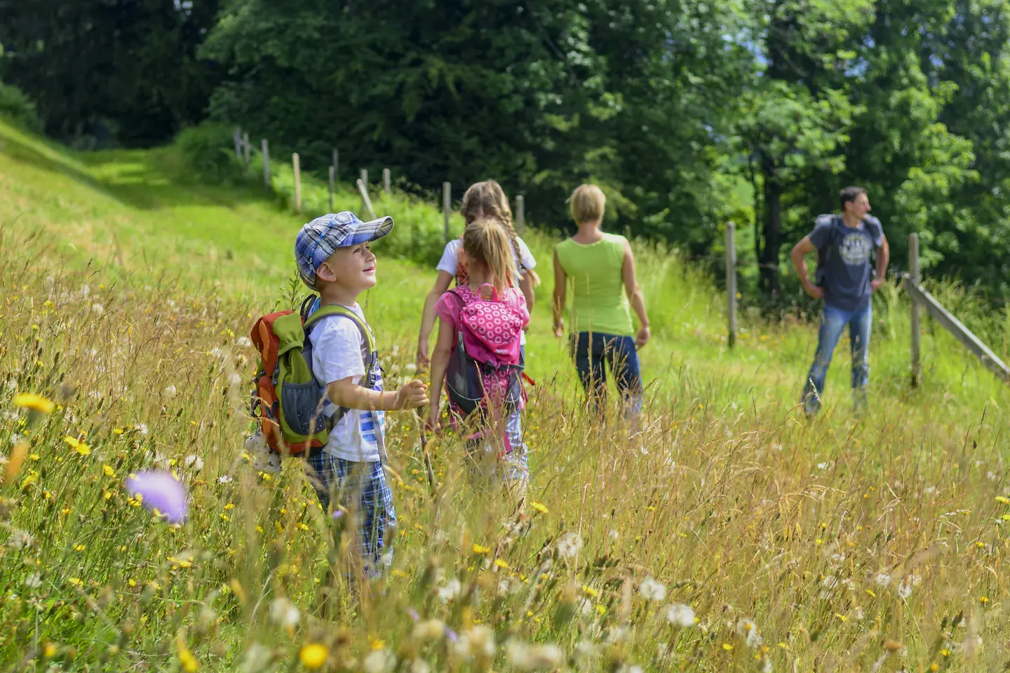 Eine Familie wandert über eine Wiese