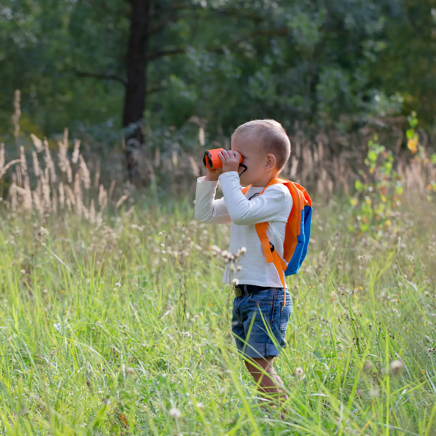 Ein kleiner Junge mit Fernglas auf einer Wiese