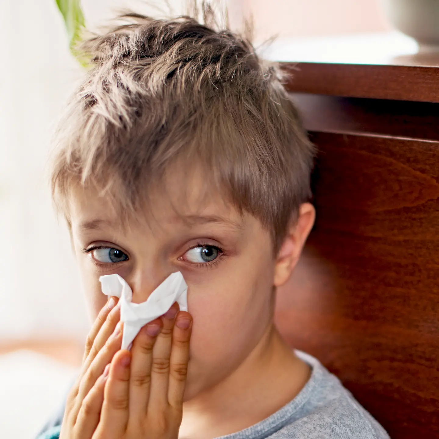 Ein Junge hält sich ein Taschentuch vor die Nase. 