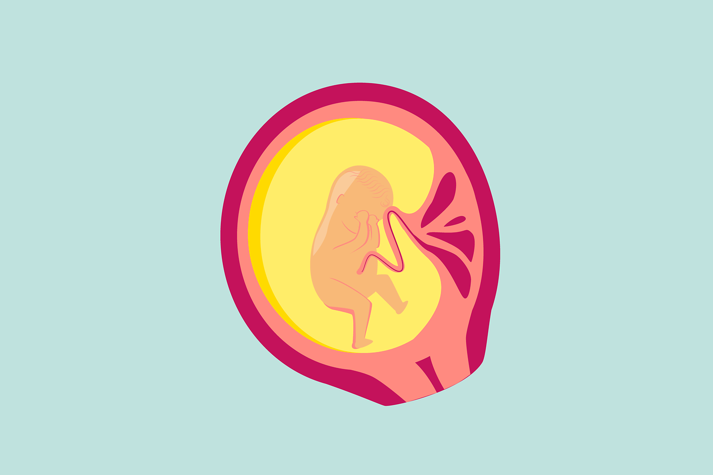 Illustration 5. Schwangerschaftsmonat: Wird es dem Kleinen zu hell, versucht es, die Augen mit den Händen zu bedecken.