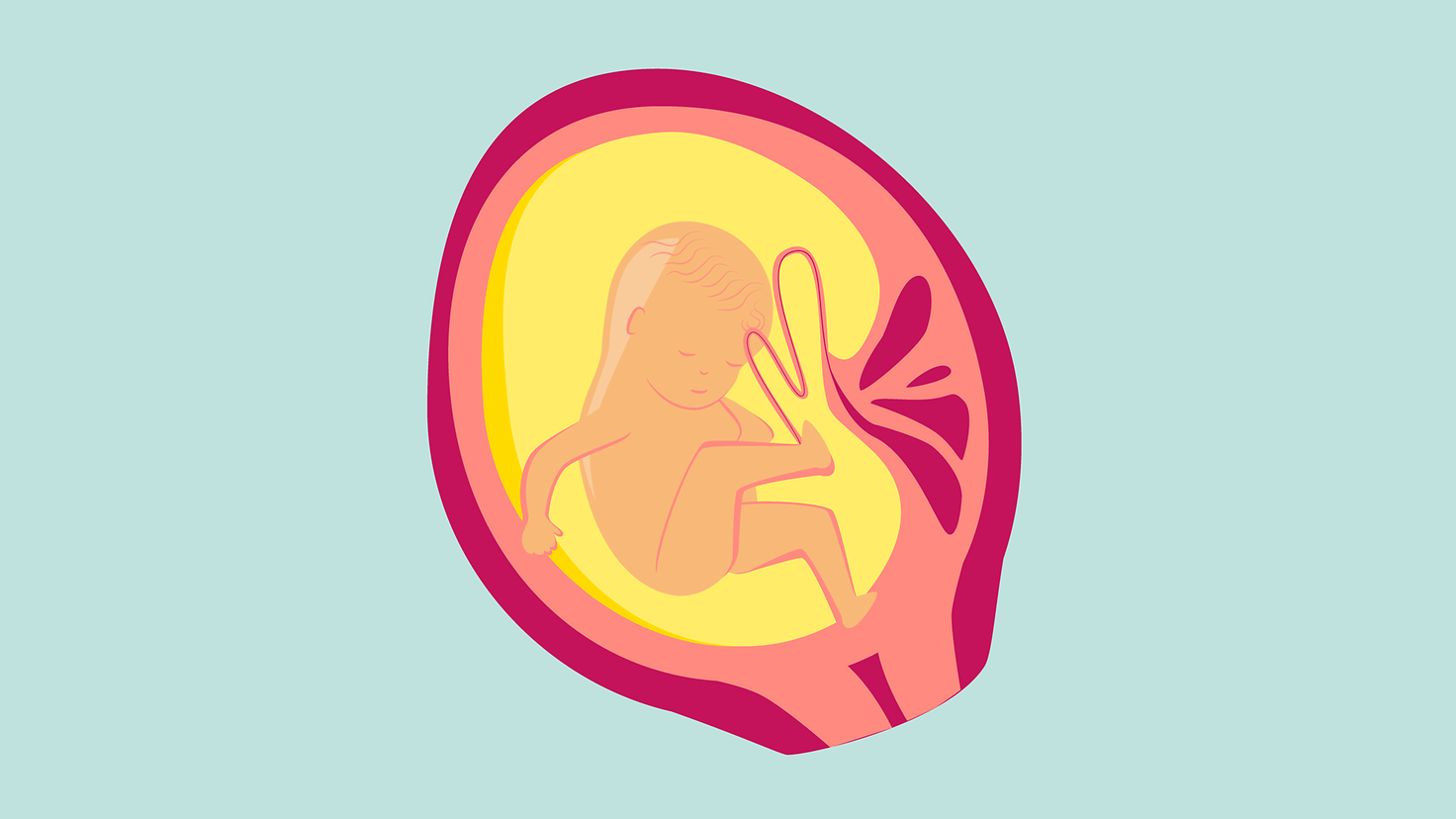 Illustration 6. Schwangerschaftsmonat: Das Baby wächst und setzt Speck an. 