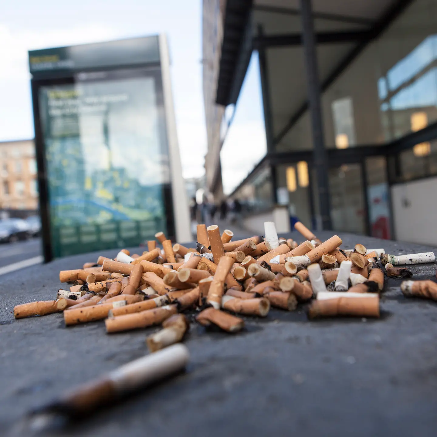 Ein Haufen von Zigarettenresten liegt auf einer Straße.