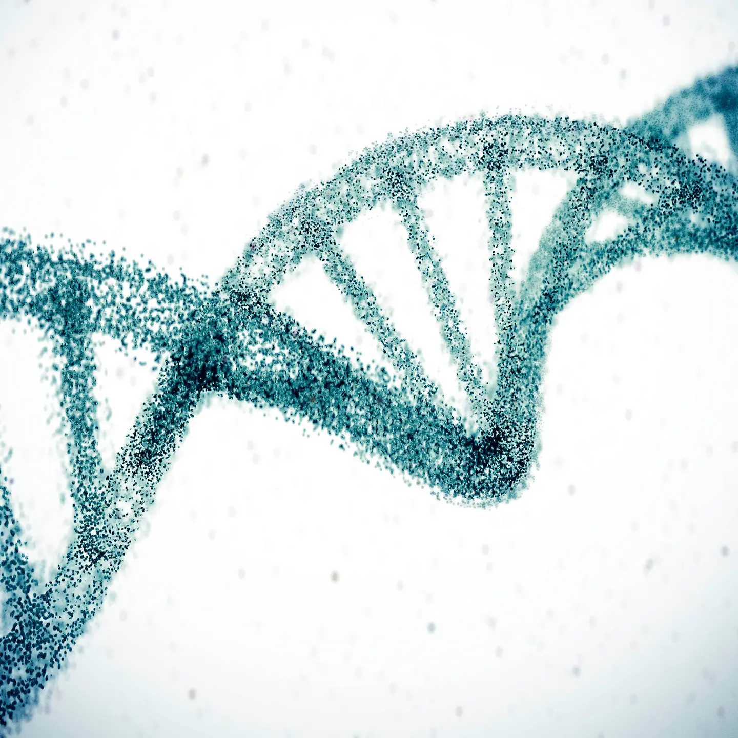Stilisierte Darstellung einer DNA-Doppelhelix