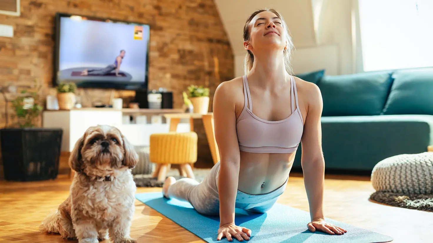 Eine Frau macht zusammen mit ihrem Hund Yoga-Übungen im Wohnzimmer.