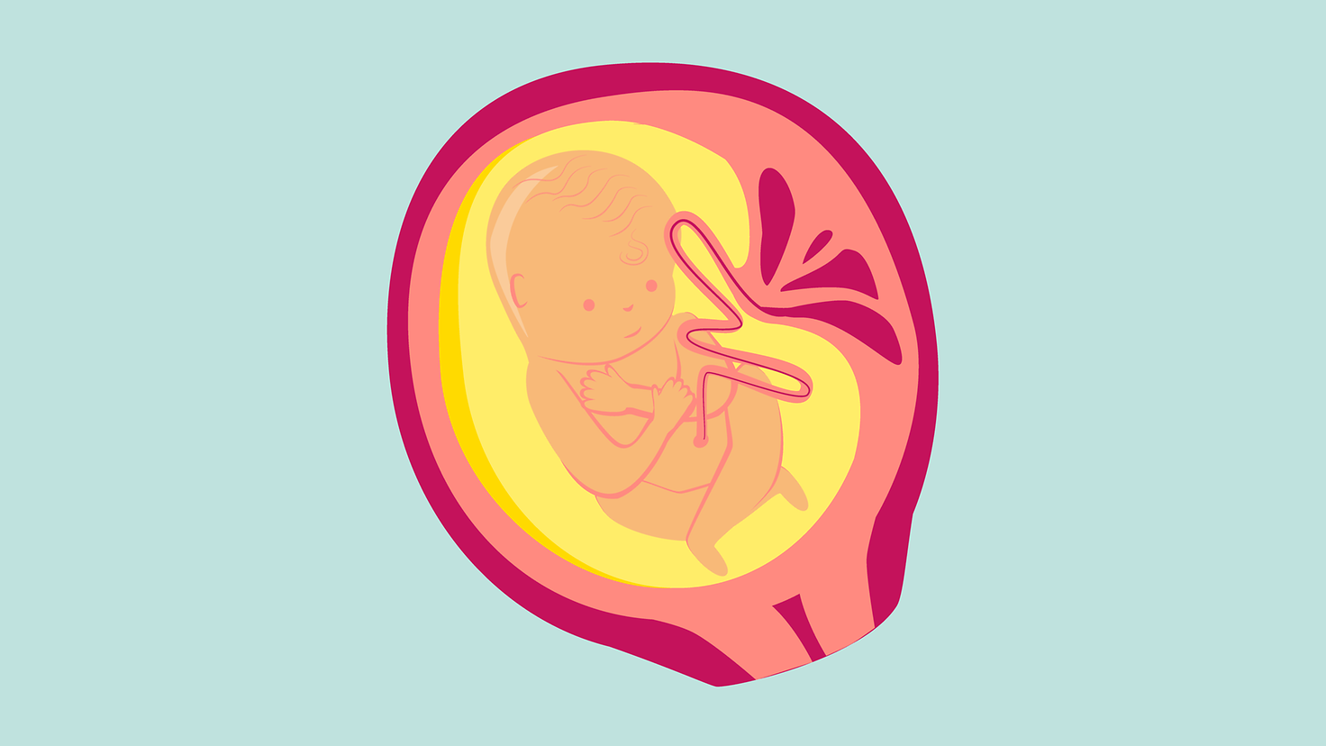 Illustration 7. Schwangerschaftsmonat: Das Baby öffnet zum ersten Mal die Augen.