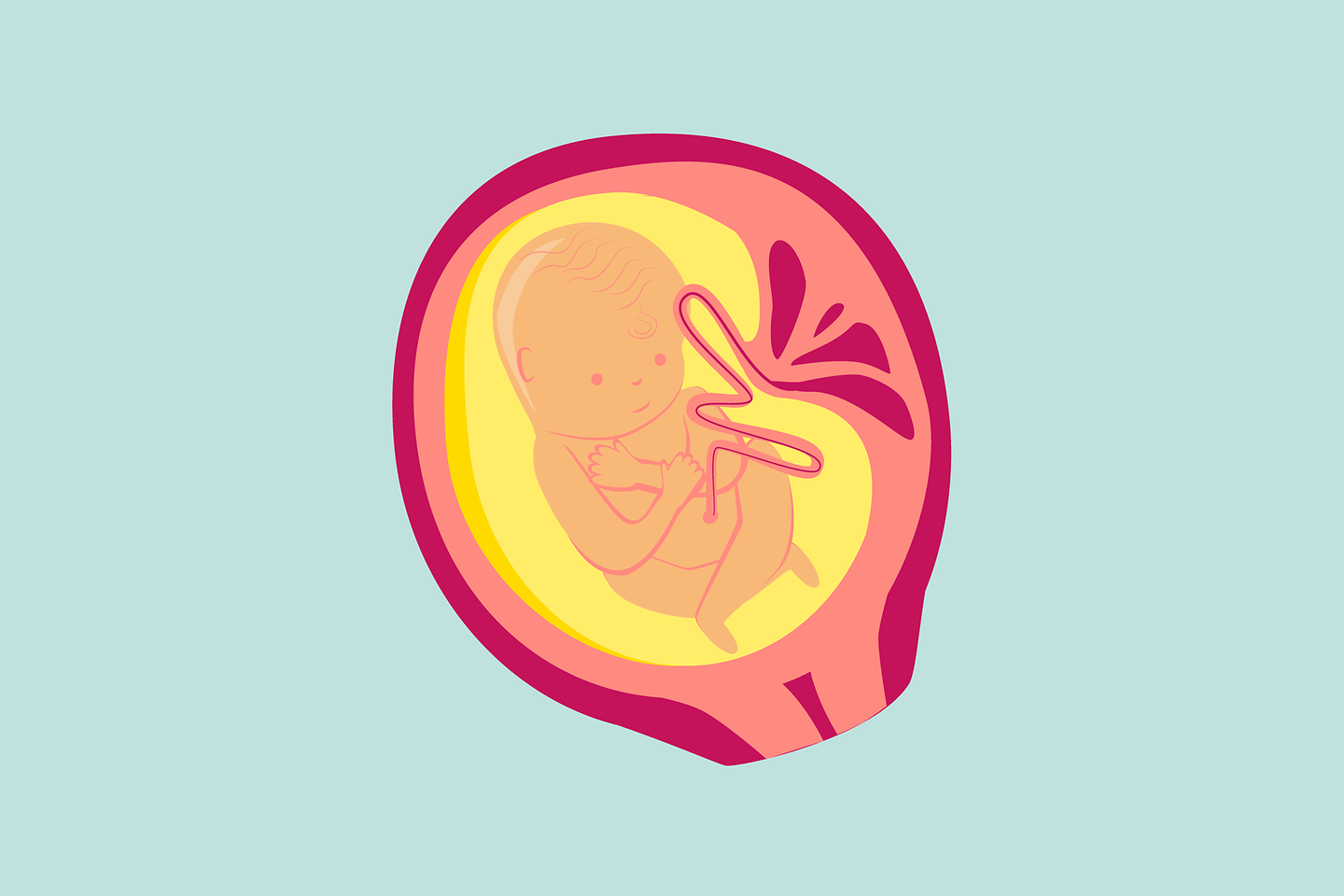 Illustration 7. Schwangerschaftsmonat: Das Baby öffnet zum ersten Mal die Augen.