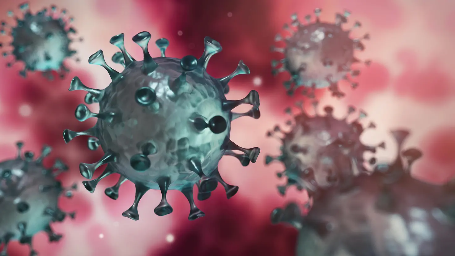 Bildliche Darstellung eines Corona Virus im Inneren des Körpers