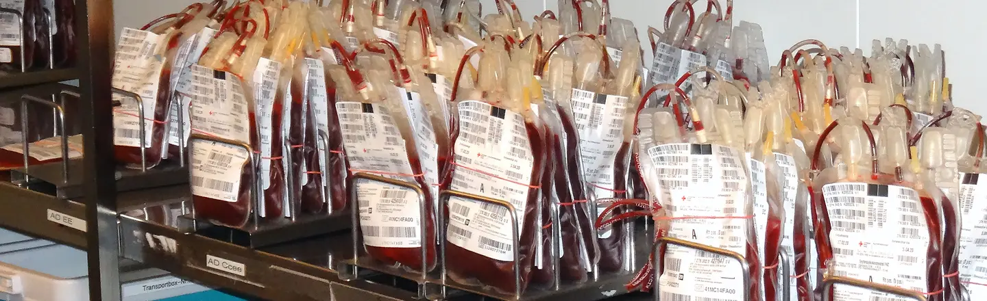 Blutkonserven in der Blutbank der Helios Kliniken Schwerin 