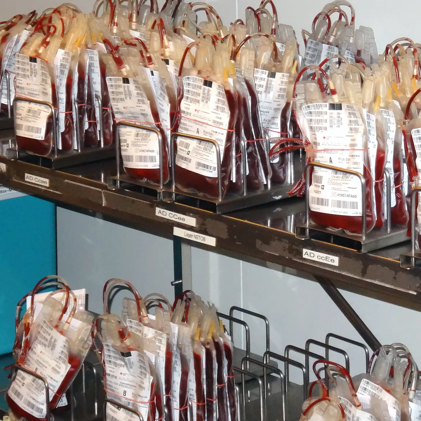 Blutkonserven in der Blutbank der Helios Kliniken Schwerin 