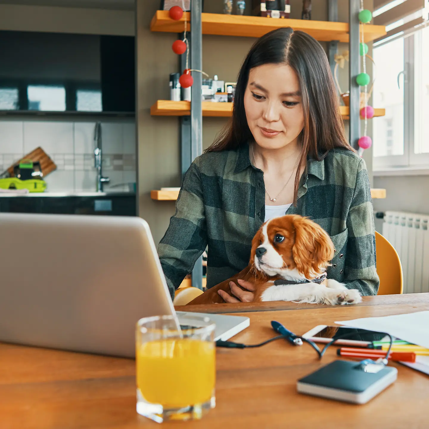 一位年轻的女士在厨房里，和一只狗一起坐在笔记本电脑前