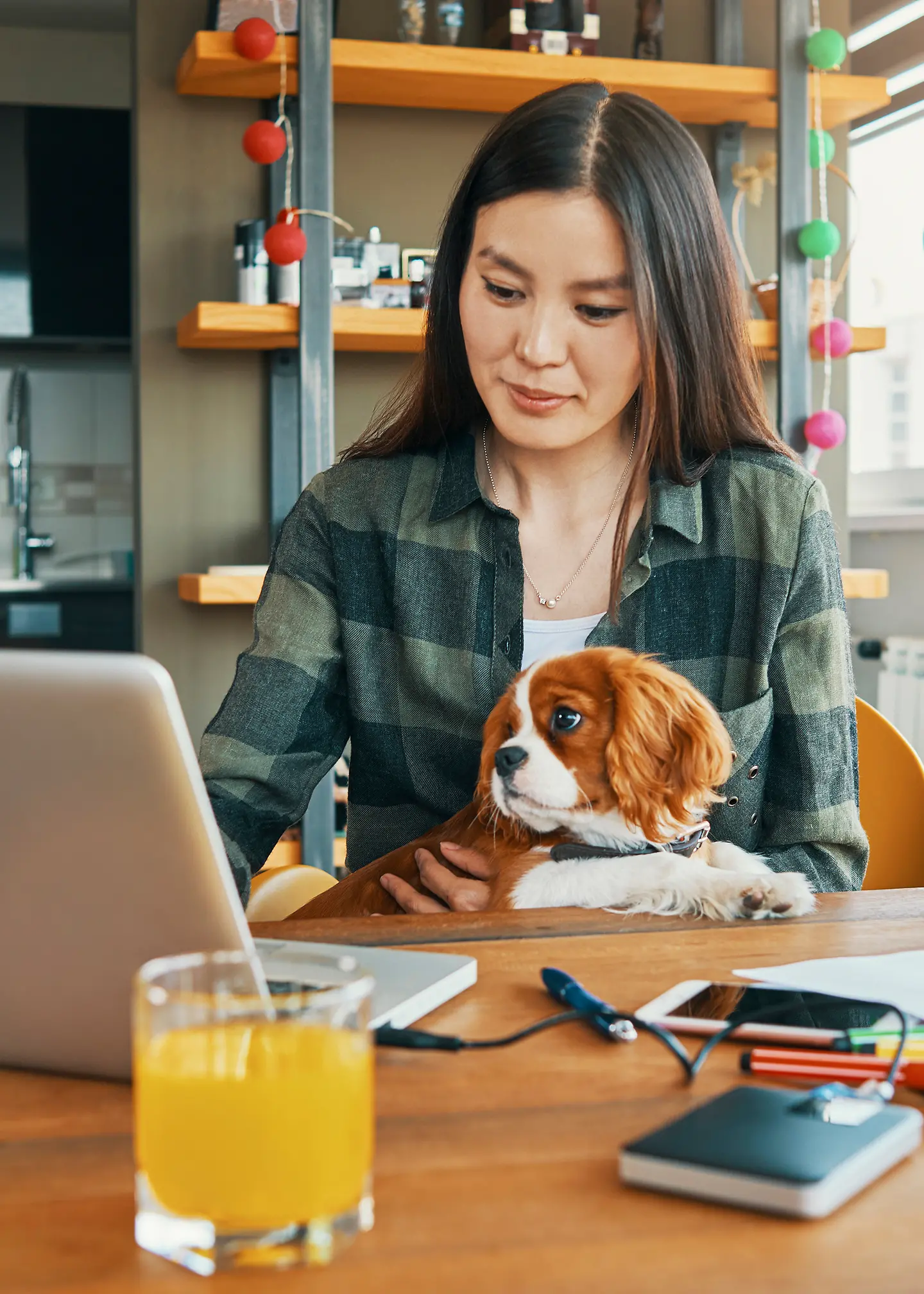 一位年轻的女士在厨房里，和一只狗一起坐在笔记本电脑前