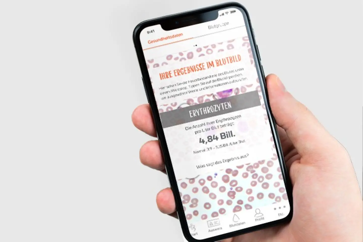 Darstellung der Informationsseite der Blutspende-App