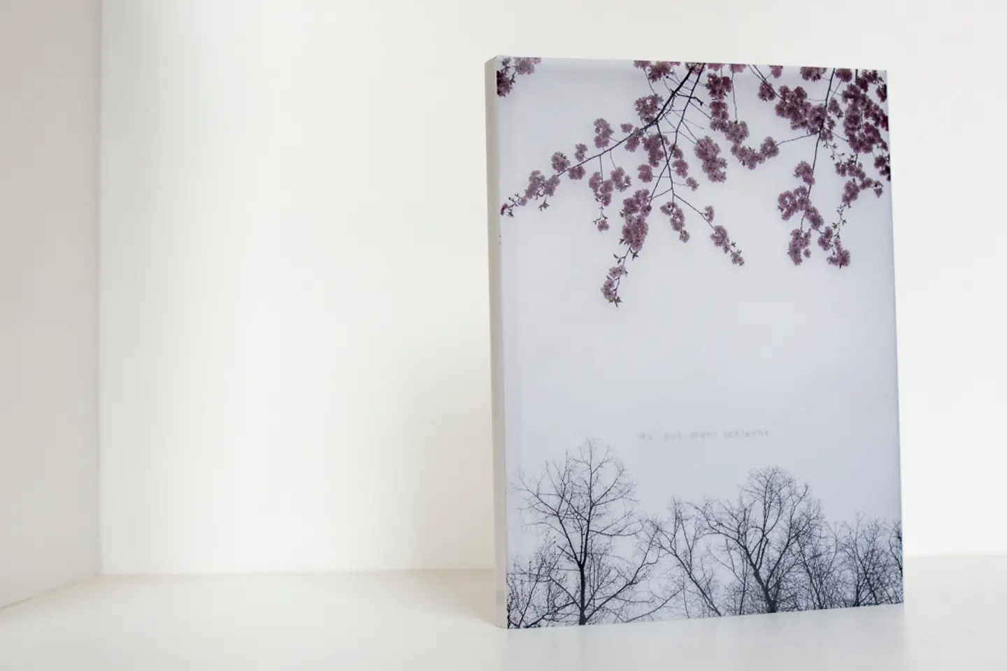 Cover Bildband über die "unsichtbare Krankheit" Depression