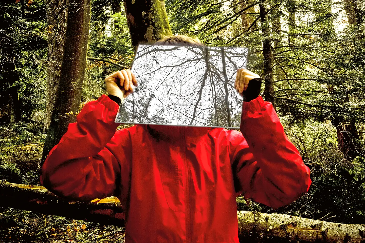 Eine Person steht im Wald und hält sich einen Spiegel vor das Gesicht