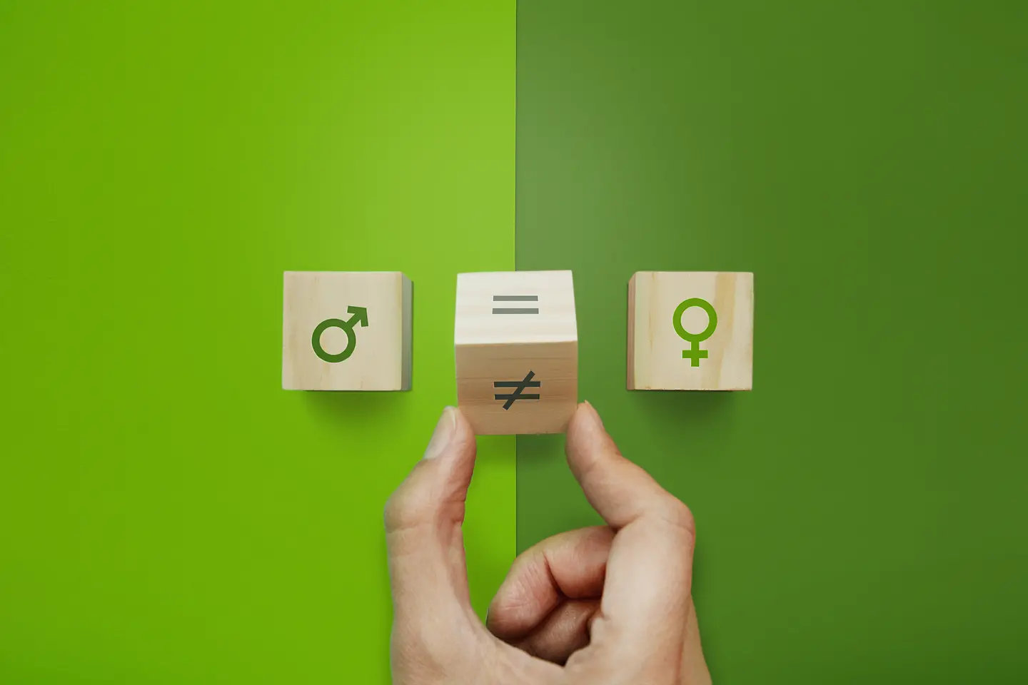 Würfel mit den Symbolen für Mann und Frau