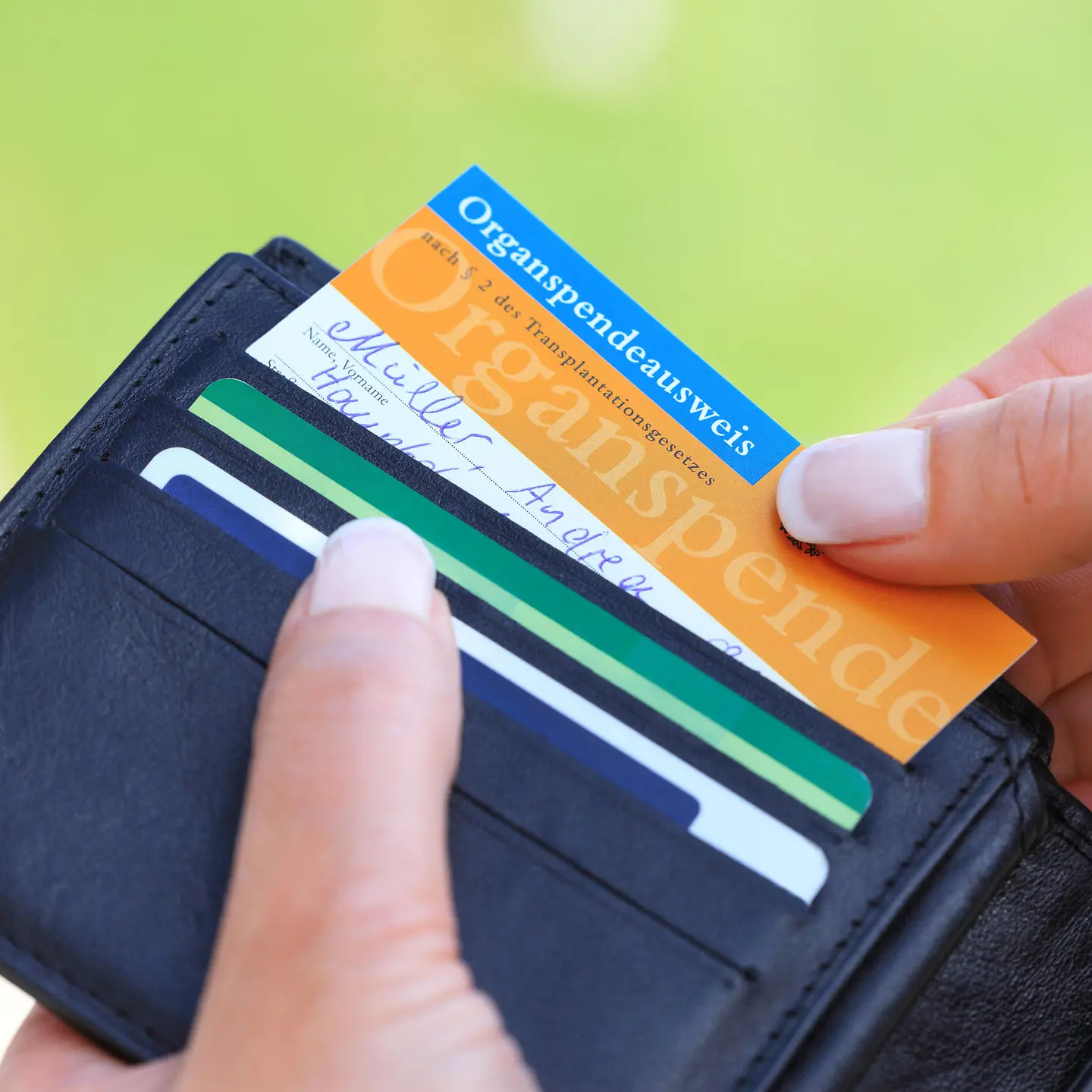 Organspendeausweis