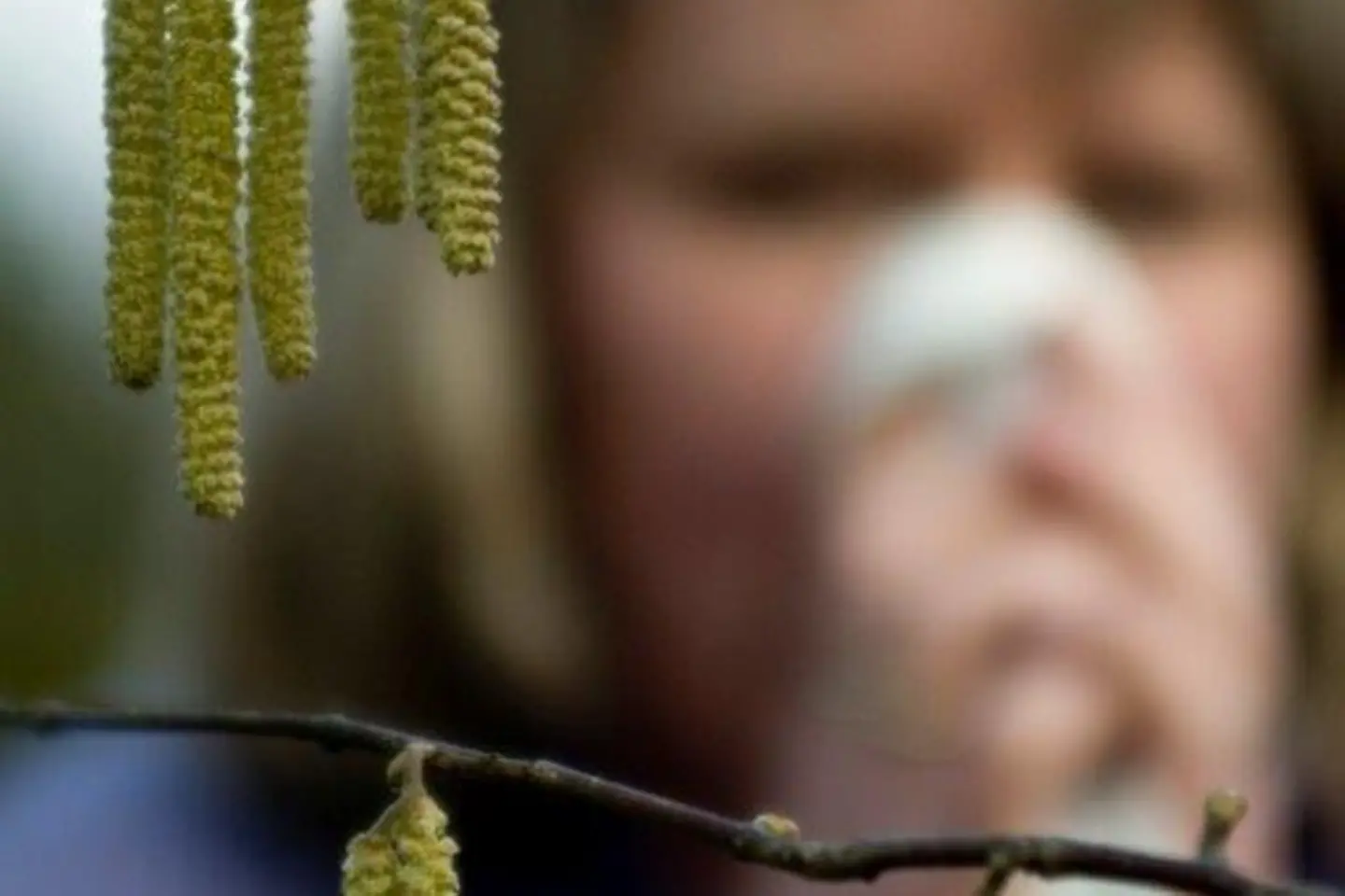 Heuschnupfen kann schnell zu Asthma ausarten
