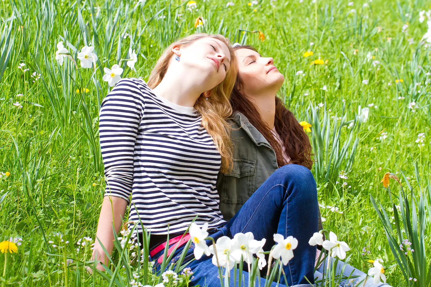 Das Bild zeigt zwei sich sonnende Frauen auf einer Wiese.