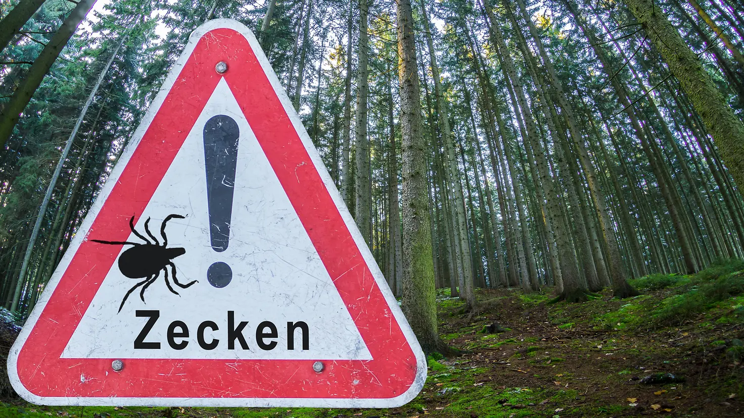 Das Bild zeigt ein Warnschild vor Zecken im Wald.