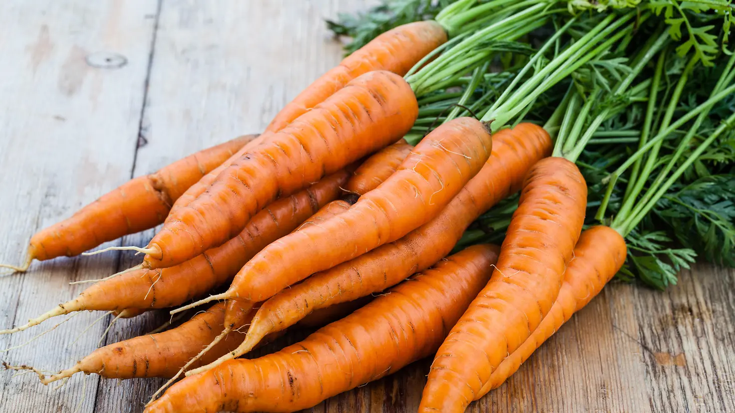 Das Bild zeigt einen Bund Karotten.