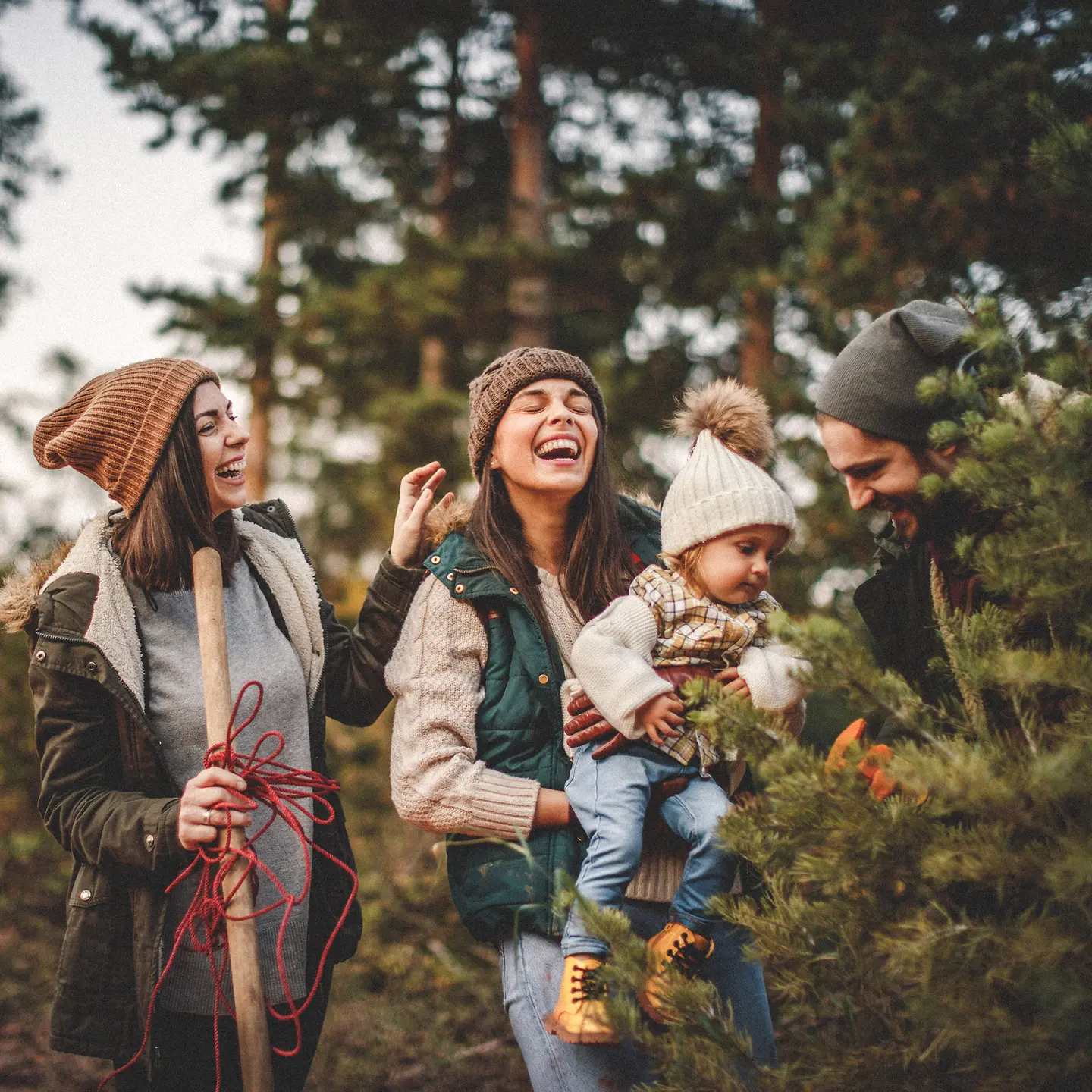 Eine Familie wählt einen Weihnachtsbaum aus