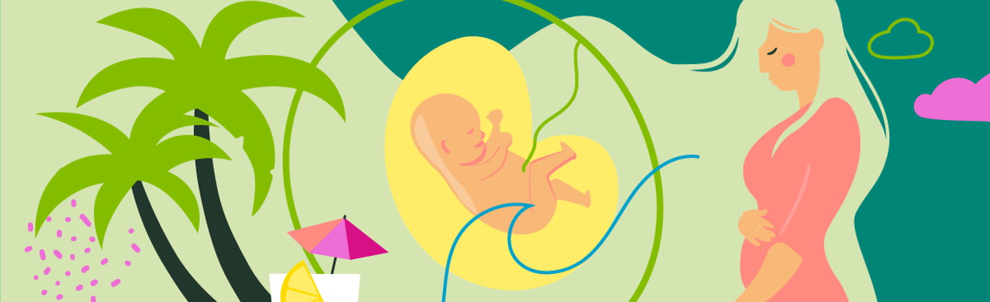 Illustration eines Fötus, einer Palme und einer jungen schwangeren Frau, die die Hand auf den Bauch legt in der 13.SSW