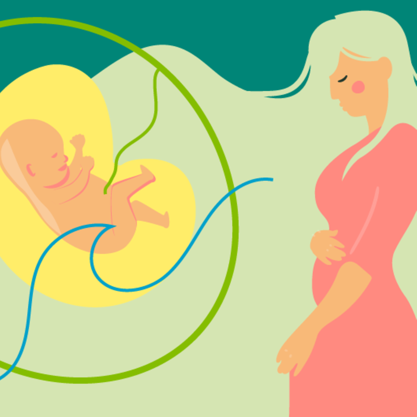 Illustration eines Fötus, einer Palme und einer jungen schwangeren Frau, die die Hand auf den Bauch legt in der 13.SSW