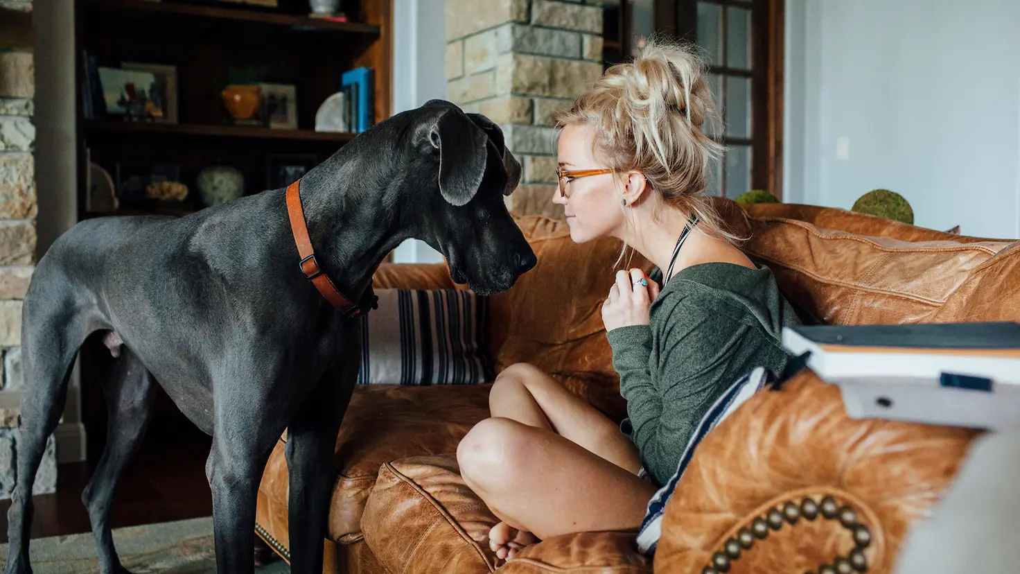 Eine junge Frau sitzt auf einem Sofa und sieht einer Dogge vor ihr tief in die Augen